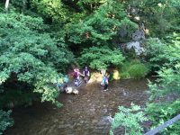 In the River