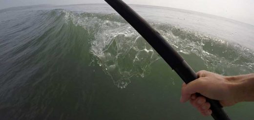 Mellow Surf