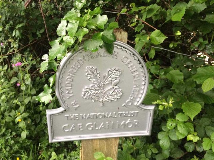National Trust Woodland