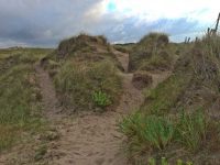 Sandy Dunes