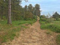 Sandy Paths