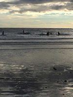 Scouts Surfing