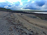 Shingle and Shell Beach - Porth Lleidiog
