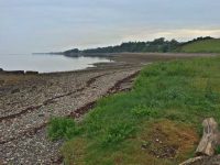 Shingly Foreshore