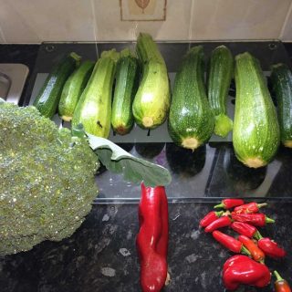 Garden Produce
