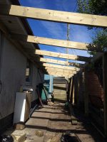 More Rafters