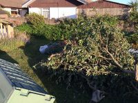 Piles of garden rubbish