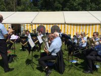 Strawberry Fair