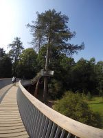 Aerial Walkway