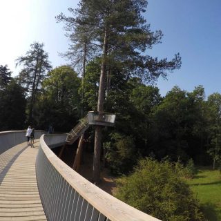 Aerial Walkway