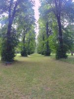 Avenue