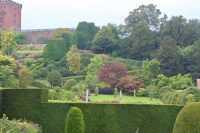 Box and Yew Hedges