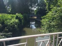 Bridges