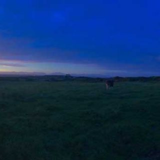 Coast Path Sunrise