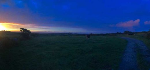 Coast Path Sunrise