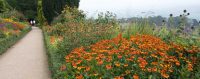Flower Borders