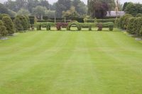 Lawns