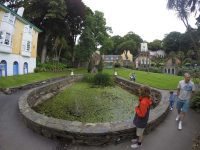 Pond