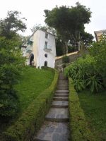 Portmeirion Steps