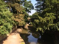 Stroll in the Park