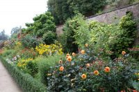 Terraced Borders