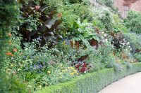 Towering Herbaceous Border