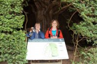 Under the Yew