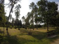 Woodland Grove