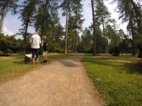 Woodland Paths