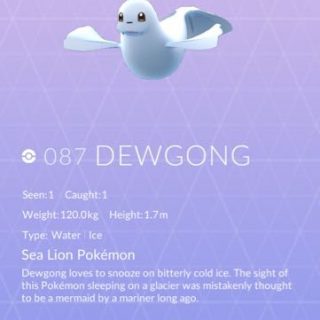 Dewgong
