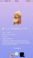 Growlithe