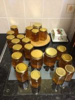 Honey Harvest