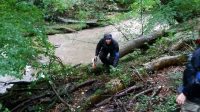 Laser Tag in the Woods