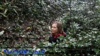 Morgan in the Woods
