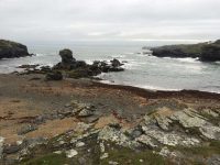 Rocky Coves