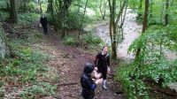 Woodland Walks