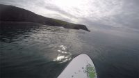Calm Waters