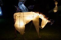 Eeyore Lantern