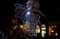 Fairy Lantern