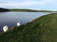Cemlyn Nature Reserve
