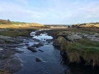 Stream