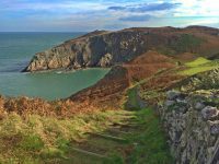 Rugged Coastline