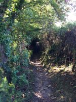 Country Lanes