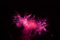 Purple Fireworks