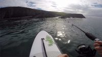 SUP Fishing