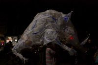 Taurus the Bull