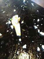raw Pear with Blue Villy cheese