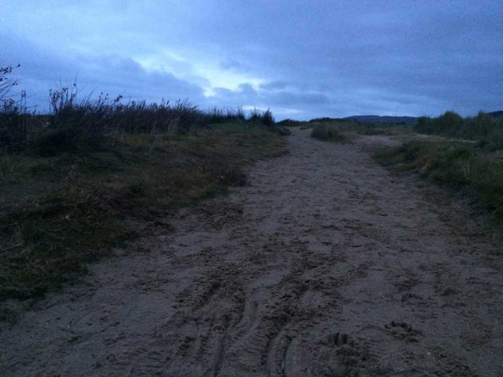 Path through low dunes