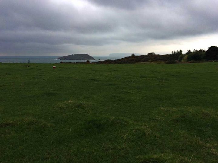 Puffin Island