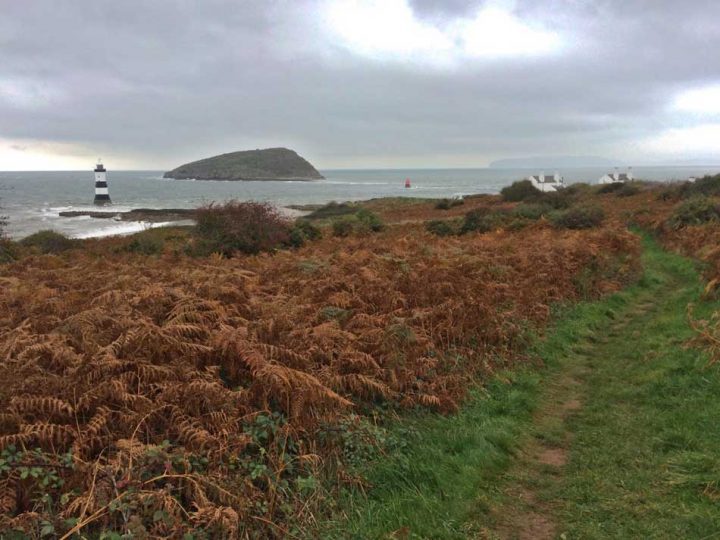The point at Puffin Island